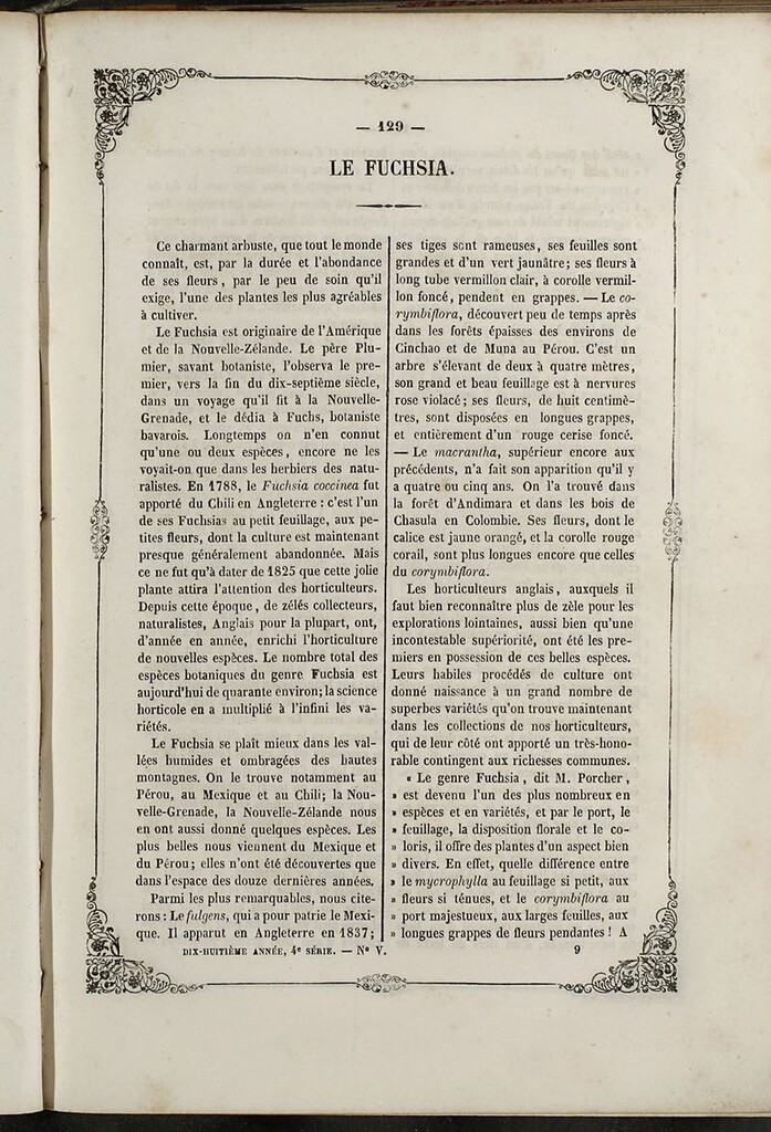 Miniatura de Journal des Demoiselles. 15 de Mayo de 1850