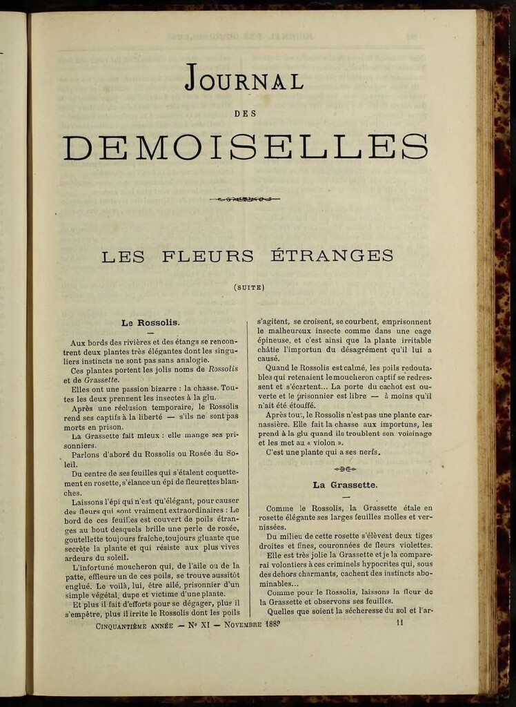 Miniatura de Journal des Demoiselles de noviembre de 1882