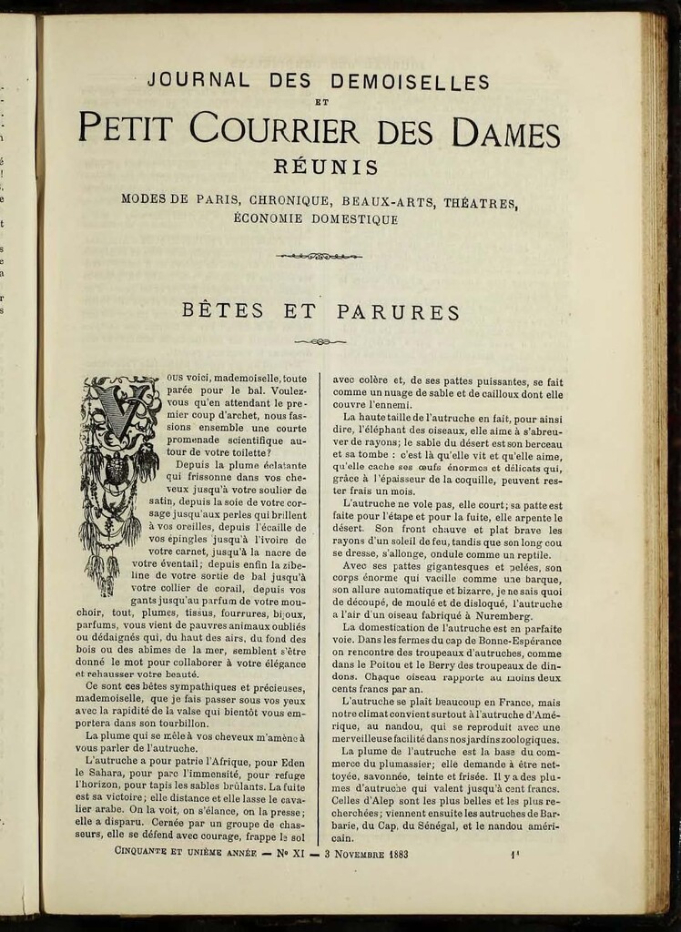 Miniatura de Journal des Demoiselles de noviembre de 1883