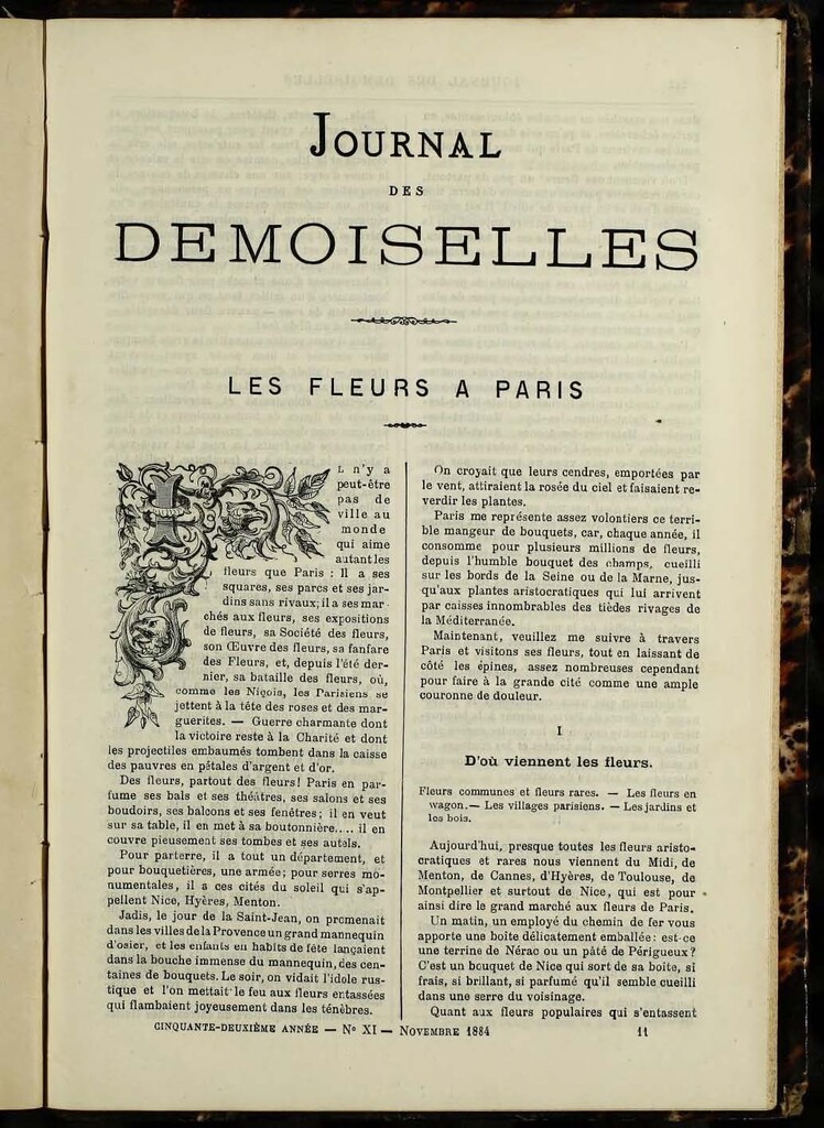 Miniatura de Journal des Demoiselles de noviembre de 1884