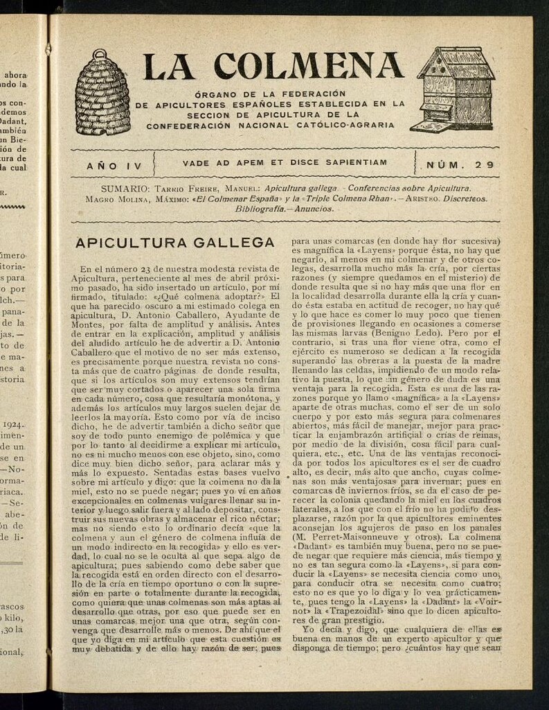 Miniatura de La Colmena : órgano de la Federación de Apicultores españoles establecida en la sección de apicultura de la Confederación Nacional Católico-Agraria- Nº 29