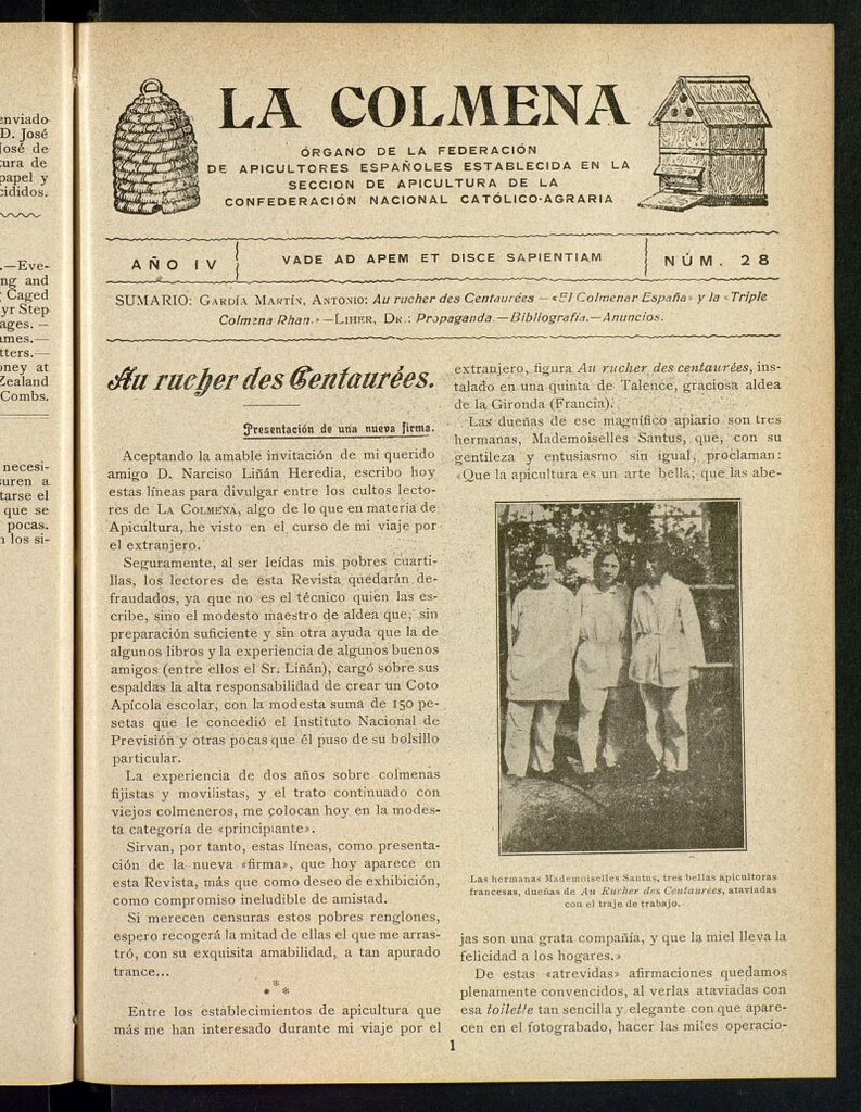 Miniatura de La Colmena : órgano de la Federación de Apicultores españoles establecida en la sección de apicultura de la Confederación Nacional Católico-Agraria. Nº 28