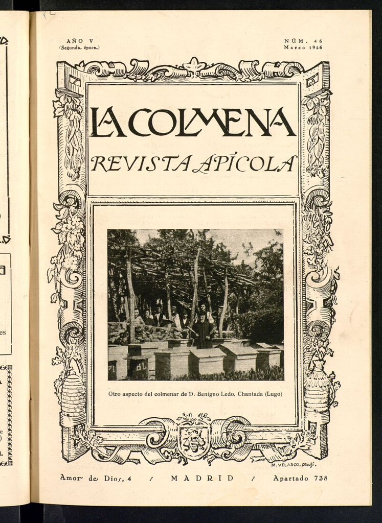 Miniatura de La Colmena : órgano de la Federación de Apicultores españoles establecida en la sección de apicultura de la Confederación Nacional Católico-Agraria. Nº 46