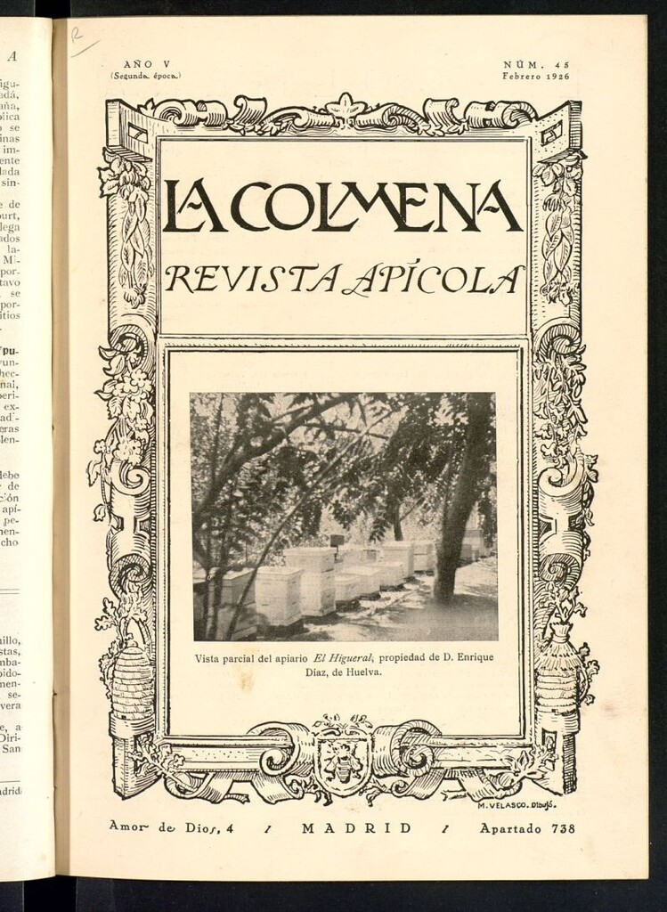 Miniatura de La Colmena : órgano de la Federación de Apicultores españoles establecida en la sección de apicultura de la Confederación Nacional Católico-Agraria. Nº 45