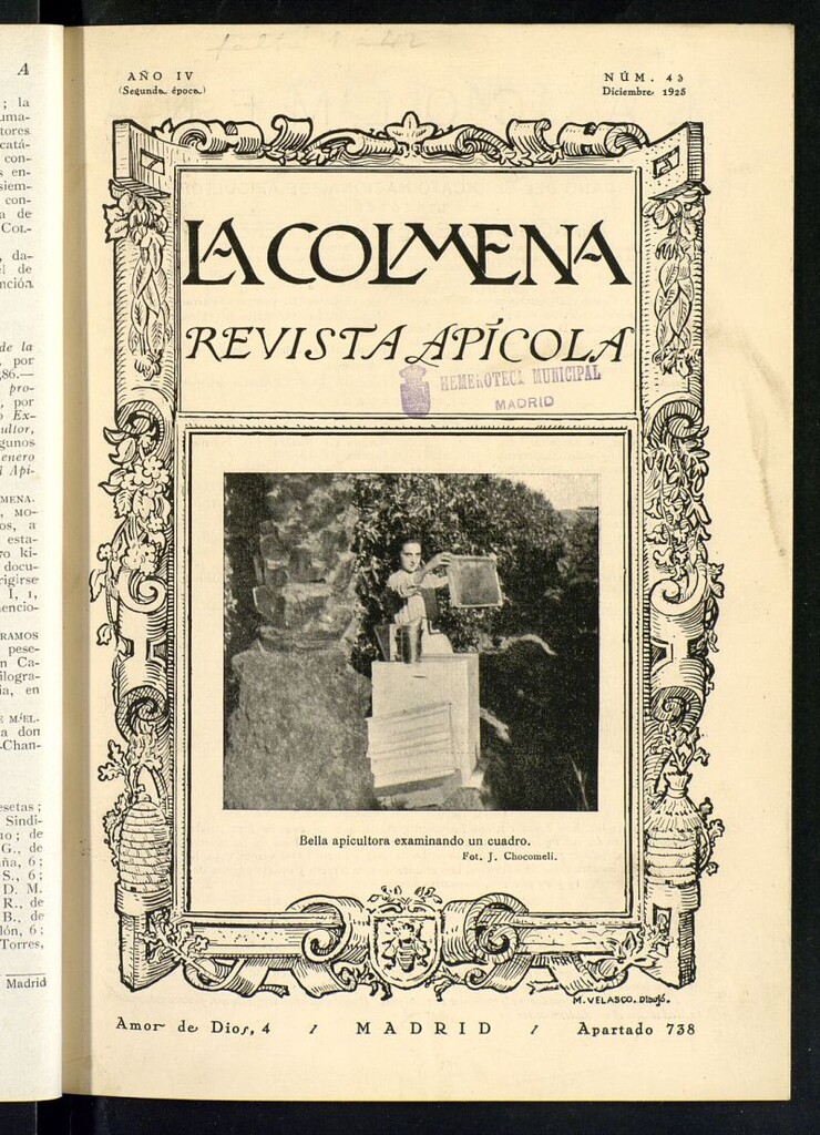Miniatura de La Colmena : órgano de la Federación de Apicultores españoles establecida en la sección de apicultura de la Confederación Nacional Católico-Agraria. Nº 43