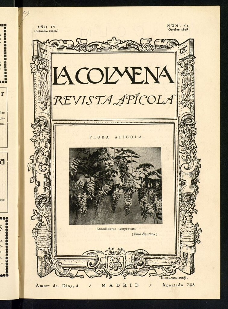 Miniatura de La Colmena : órgano de la Federación de Apicultores españoles establecida en la sección de apicultura de la Confederación Nacional Católico-Agraria. Nº 41