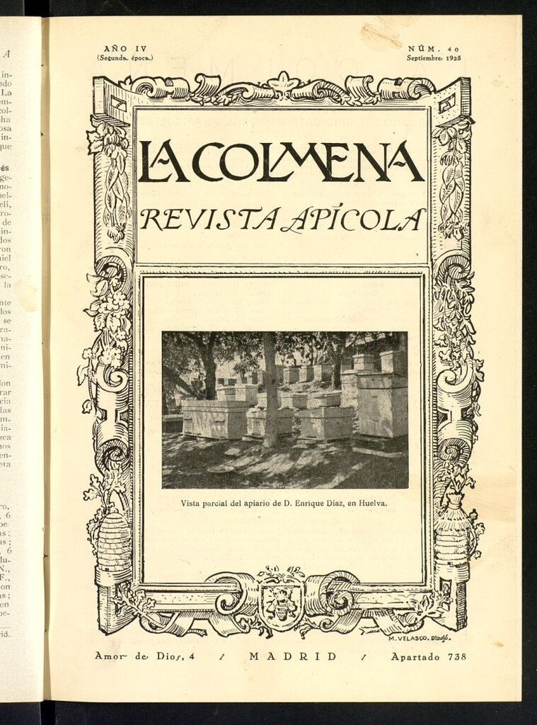 Miniatura de La Colmena : órgano de la Federación de Apicultores españoles establecida en la sección de apicultura de la Confederación Nacional Católico-Agraria. Nº 40