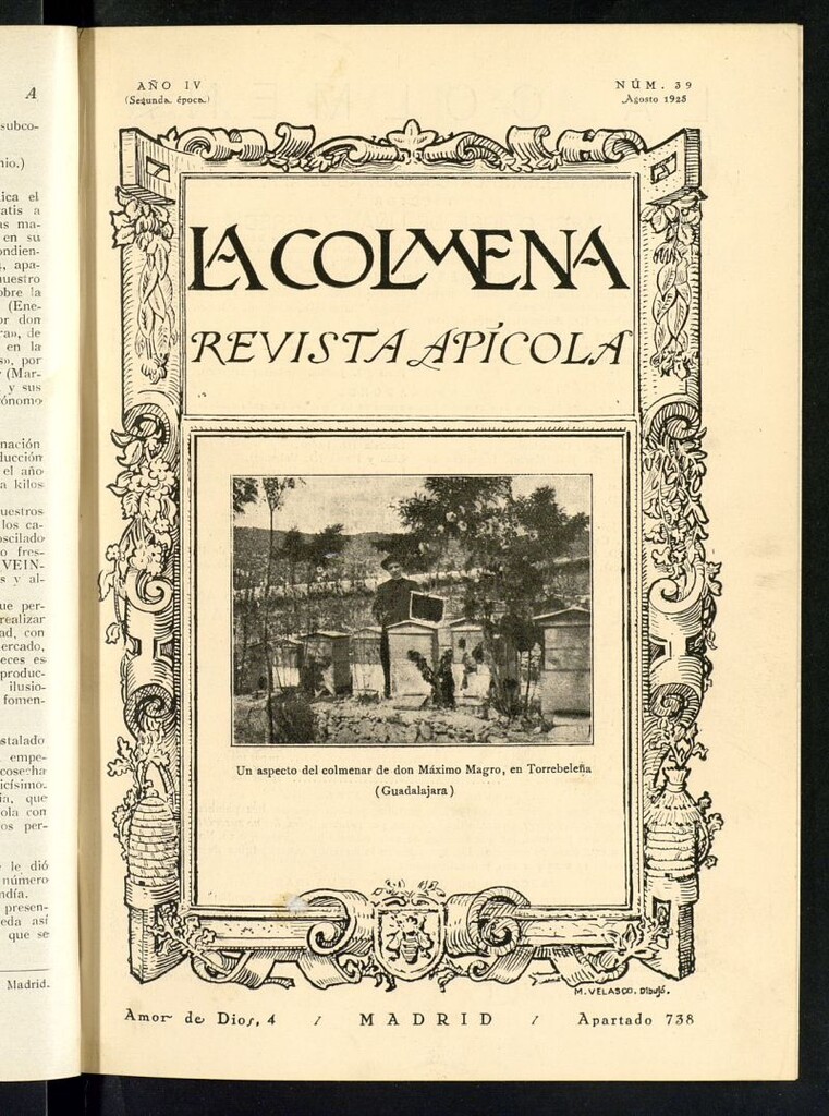 Miniatura de La Colmena : órgano de la Federación de Apicultores españoles establecida en la sección de apicultura de la Confederación Nacional Católico-Agraria. Nº 39
