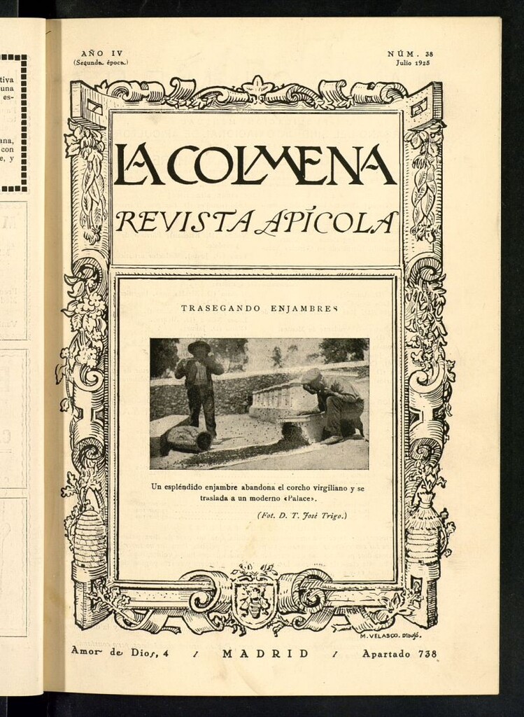 Miniatura de La Colmena : órgano de la Federación de Apicultores españoles establecida en la sección de apicultura de la Confederación Nacional Católico-Agraria. Nº 38