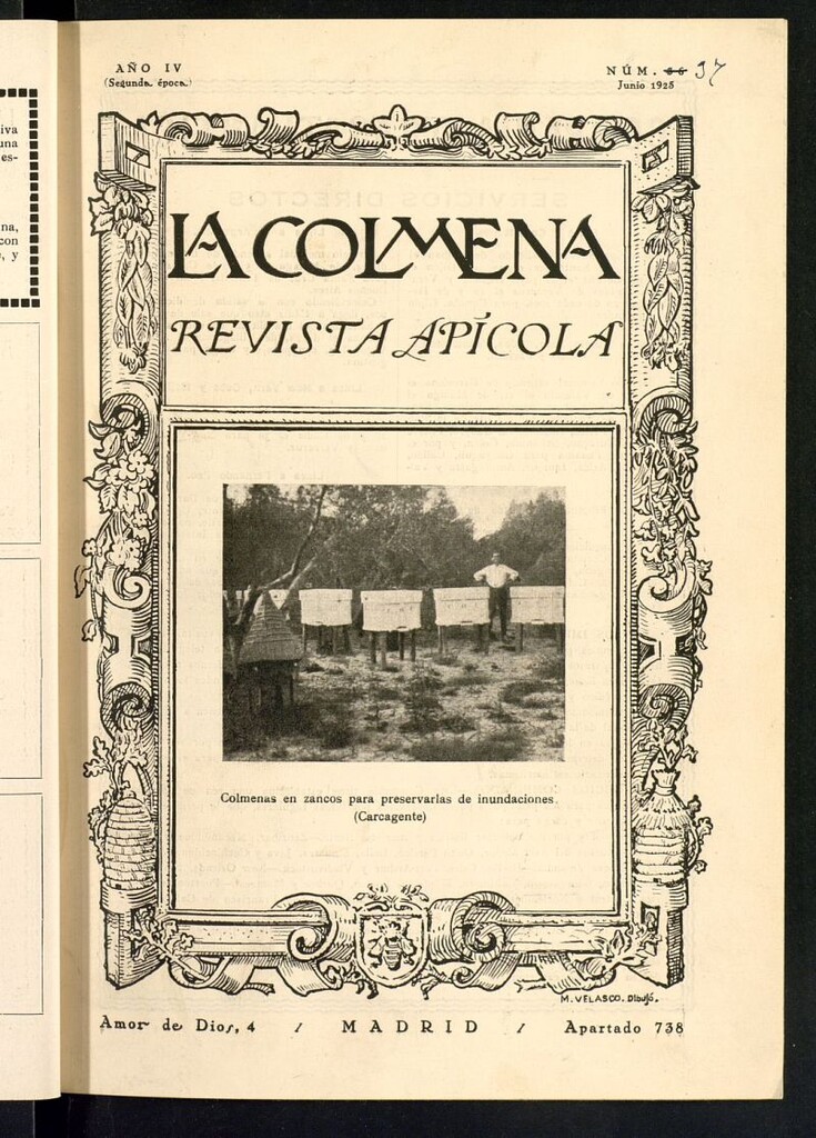 Miniatura de La Colmena : órgano de la Federación de Apicultores españoles establecida en la sección de apicultura de la Confederación Nacional Católico-Agraria. Nº 37