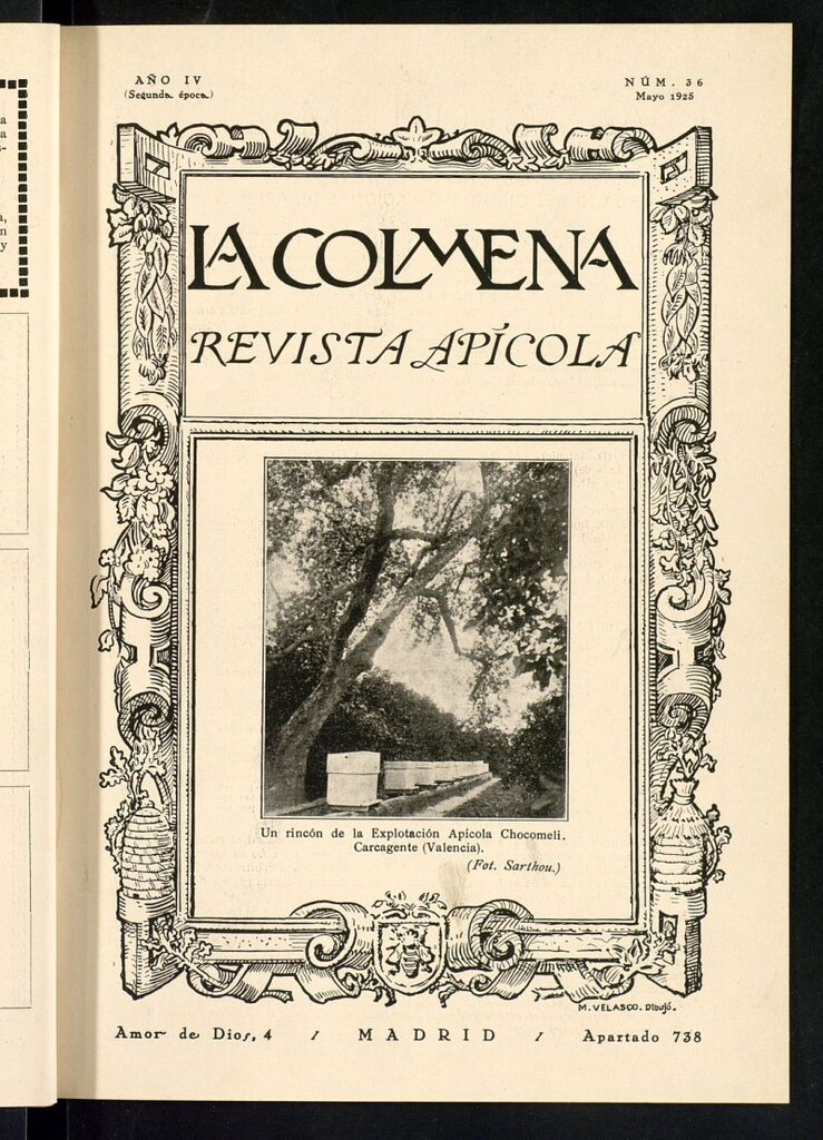 Miniatura de La Colmena : órgano de la Federación de Apicultores españoles establecida en la sección de apicultura de la Confederación Nacional Católico-Agraria. Nº 36