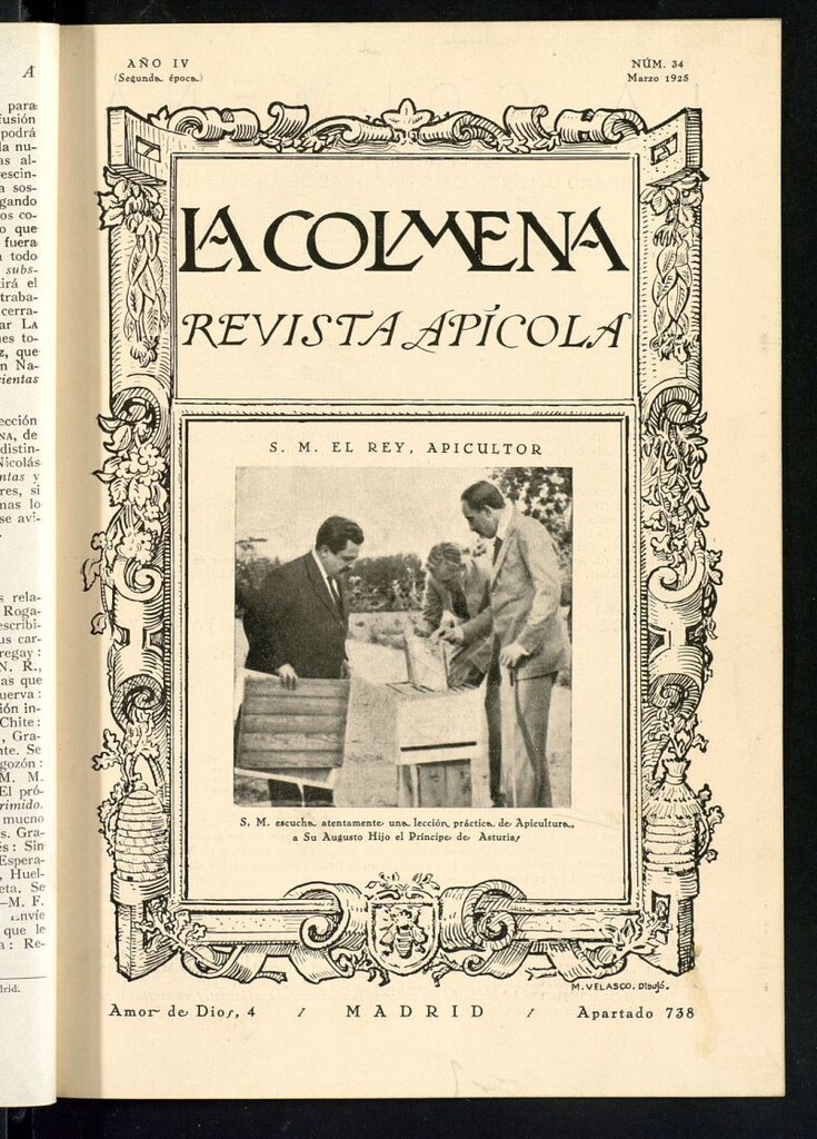 Miniatura de La Colmena : órgano de la Federación de Apicultores españoles establecida en la sección de apicultura de la Confederación Nacional Católico-Agraria. Nº 34