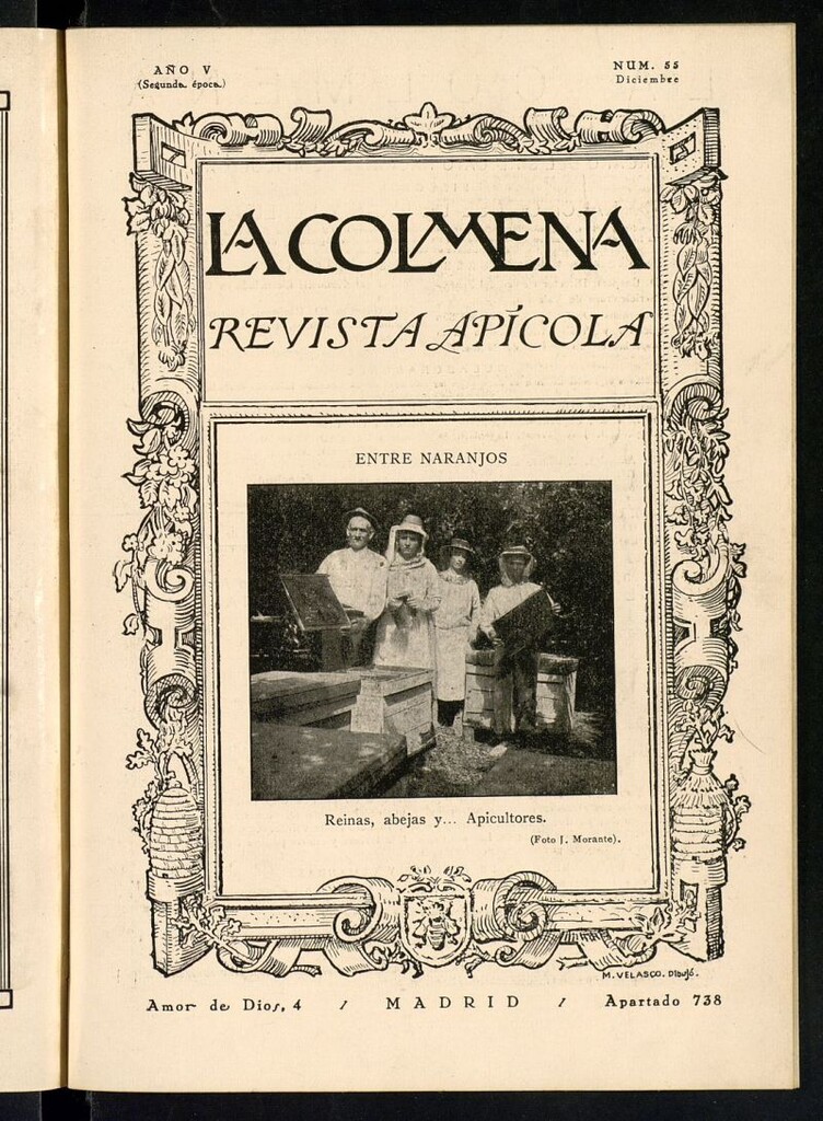 Miniatura de La Colmena : órgano de la Federación de Apicultores españoles establecida en la sección de apicultura de la Confederación Nacional Católico-Agraria. Nº 55