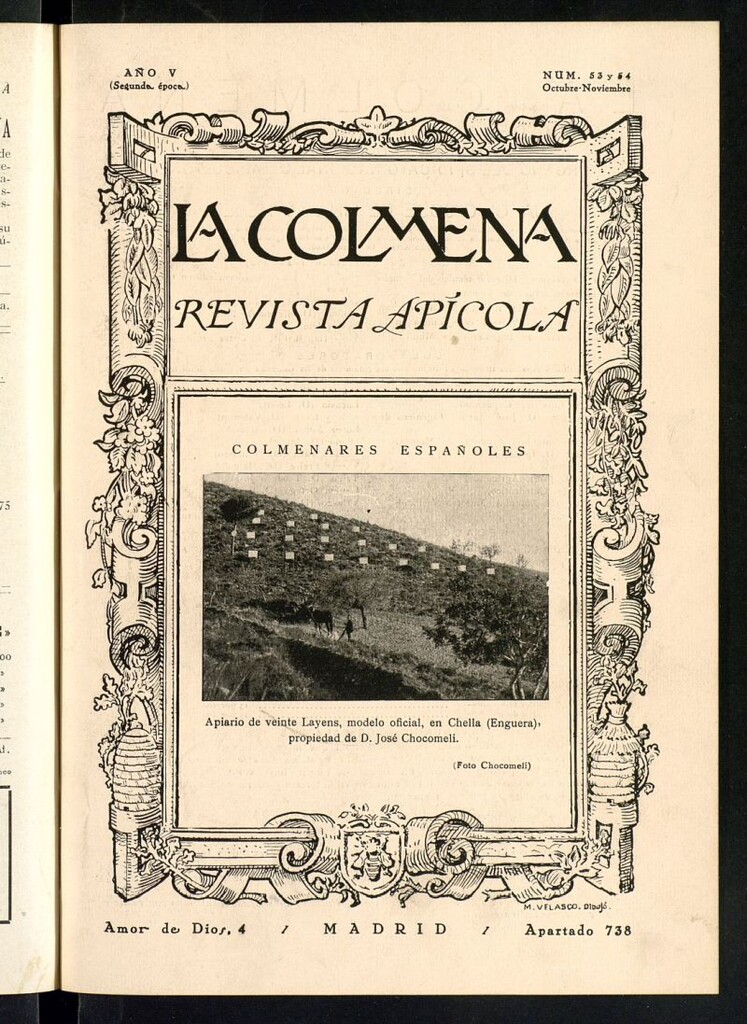 Miniatura de La Colmena : órgano de la Federación de Apicultores españoles establecida en la sección de apicultura de la Confederación Nacional Católico-Agraria. Nº 53-54
