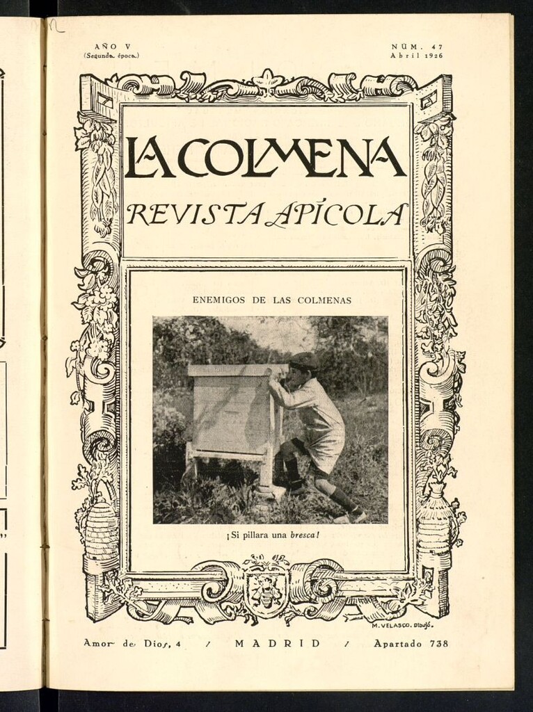 Miniatura de La Colmena : órgano de la Federación de Apicultores españoles establecida en la sección de apicultura de la Confederación Nacional Católico-Agraria. Nº 47