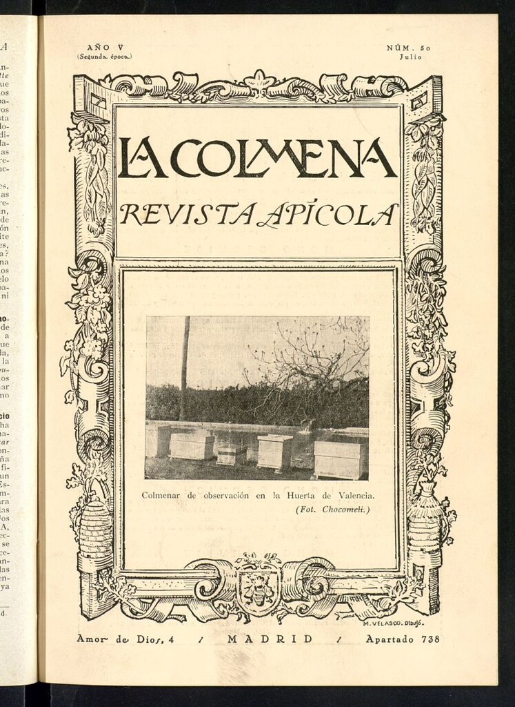 Miniatura de La Colmena : órgano de la Federación de Apicultores españoles establecida en la sección de apicultura de la Confederación Nacional Católico-Agraria. Nº 50