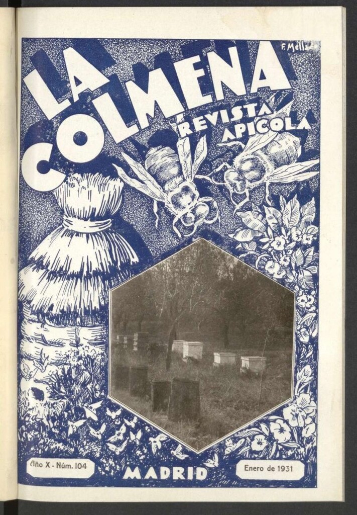 Miniatura de La Colmena : órgano de la Federación de Apicultores españoles establecida en la sección de apicultura de la Confederación Nacional Católico-Agraria. Nº 104