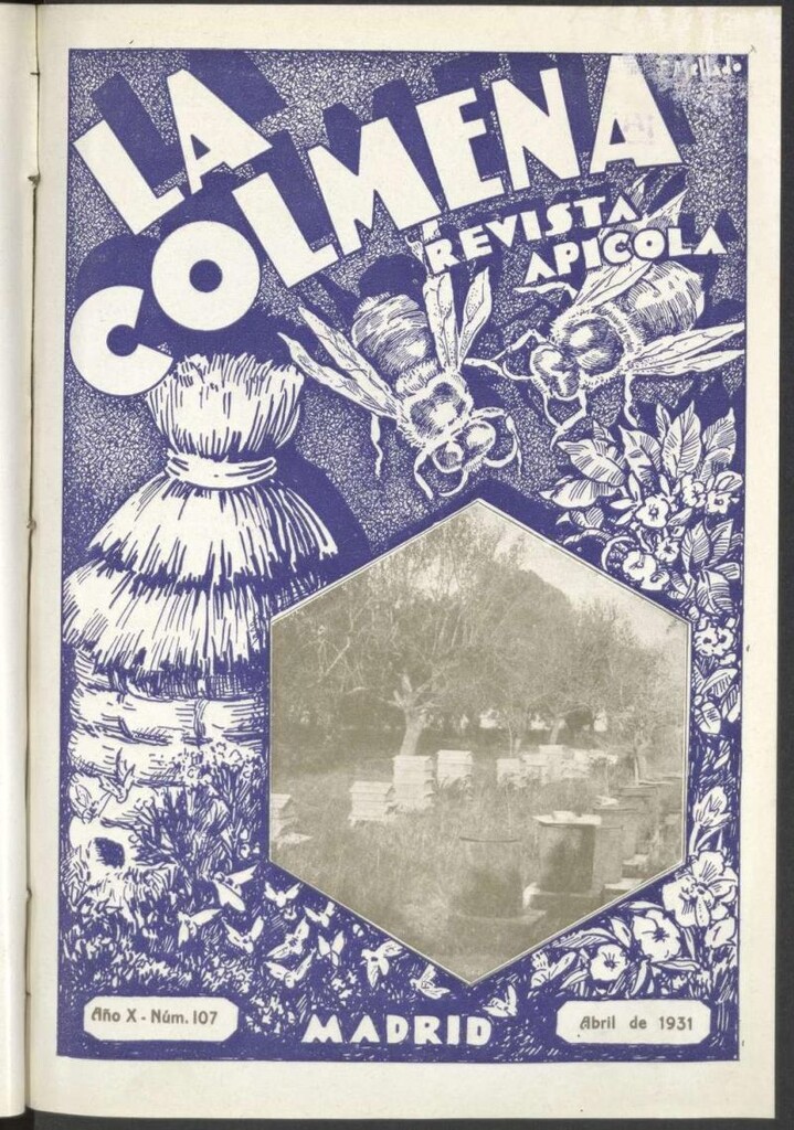 Miniatura de La Colmena : órgano de la Federación de Apicultores españoles establecida en la sección de apicultura de la Confederación Nacional Católico-Agraria. Nº 107