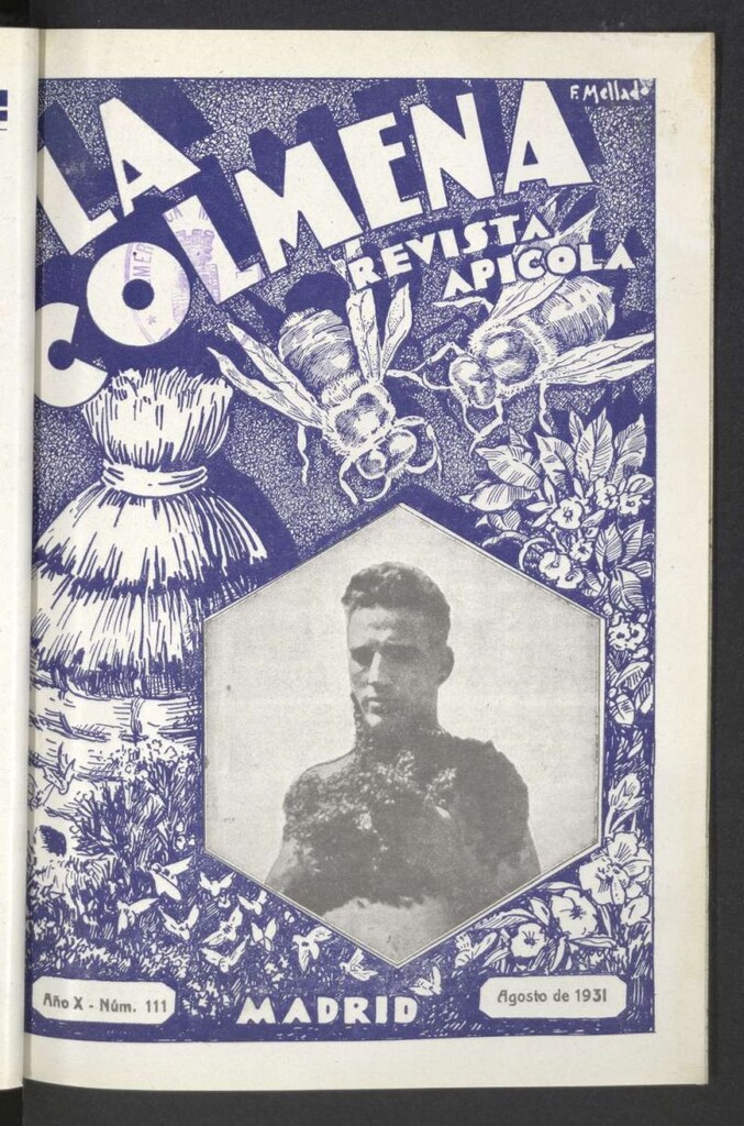 Miniatura de La Colmena : órgano de la Federación de Apicultores españoles establecida en la sección de apicultura de la Confederación Nacional Católico-Agraria. Nº 111