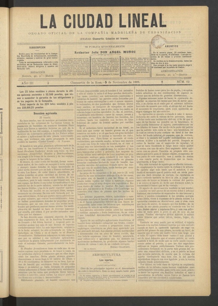 Miniatura de La Ciudad Lineal : órgano oficial de la Compañía Madrileña de Urbanización del 5 de noviembre de 1899