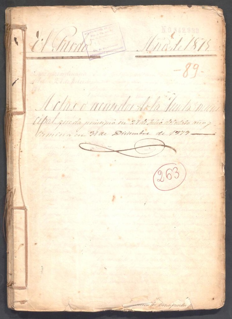 Miniatura de Actas y acuerdos del ayuntamiento de El Pardo de 1875. Libro 263.