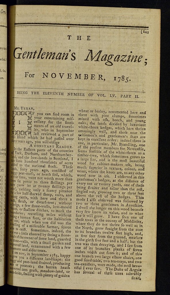 Miniatura de The Gentleman´s Magazine de noviembre de 1785, vol LV, parte II
