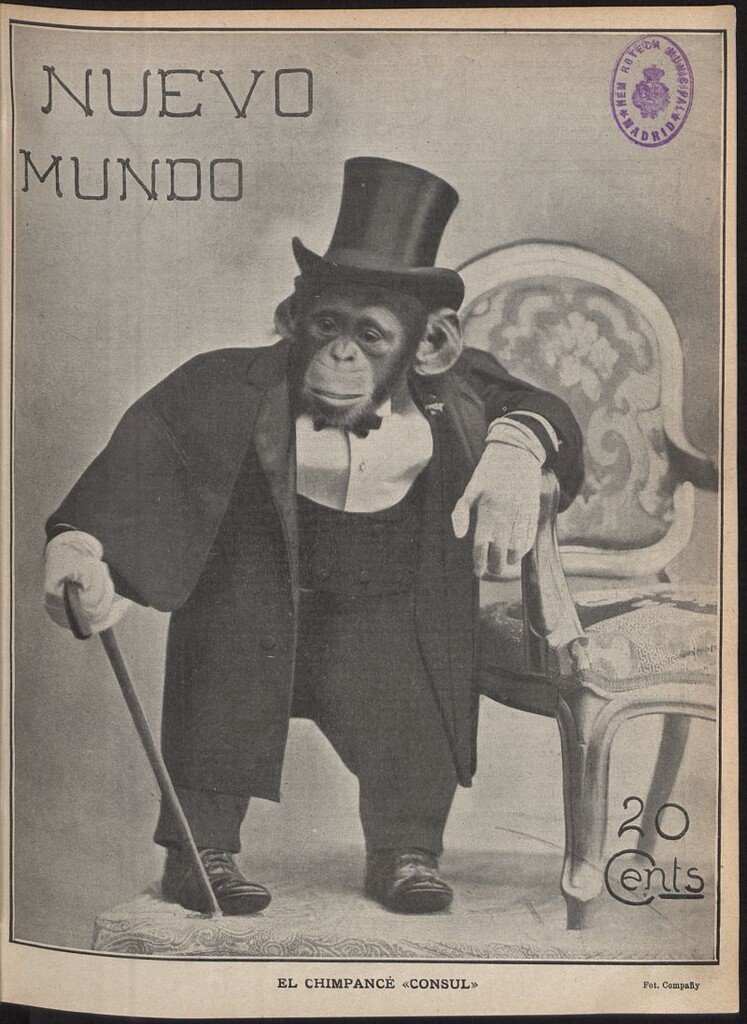 Miniatura de El Nuevo Mundo