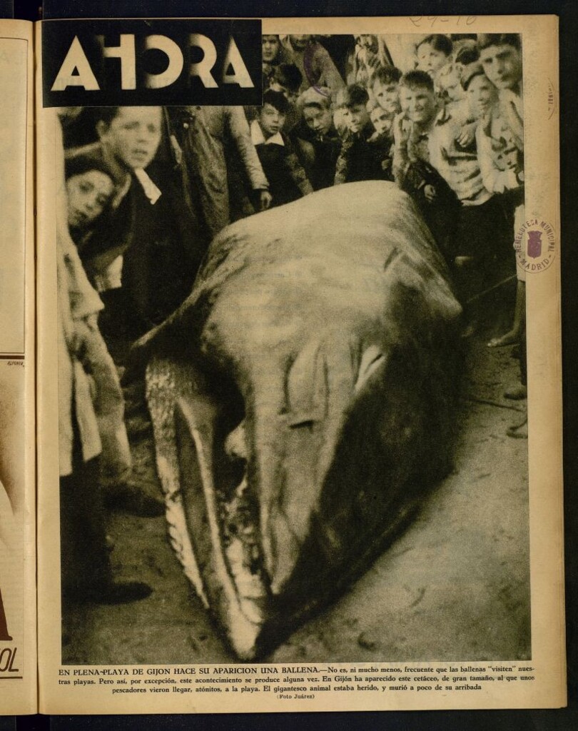 Miniatura de Ahora: diario gráfico del 29 de octubre de 1933, nº 898