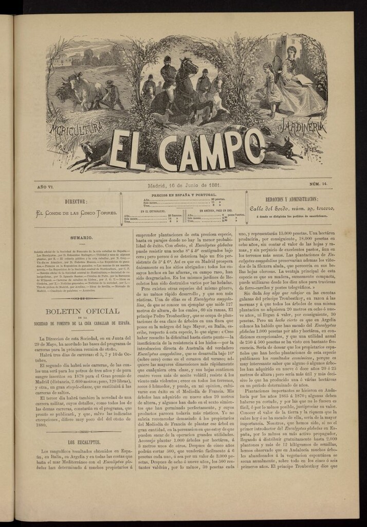 Miniatura de El Campo : agricultura, jardinería y sport del 16 de junio de 1881, nº 14