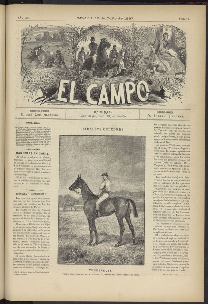 Miniatura de El Campo : agricultura, jardinería y sport del 16 de julio de 1887, nº 16
