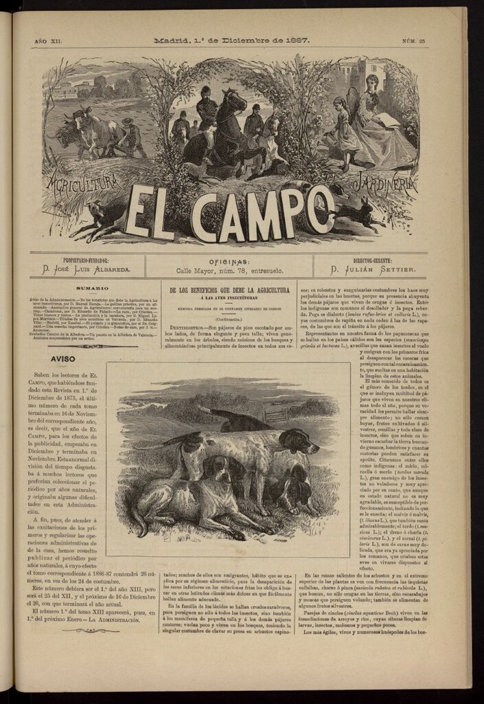 Miniatura de El Campo : agricultura, jardinería y sport del 1 de diciembre de 1887, nº 25