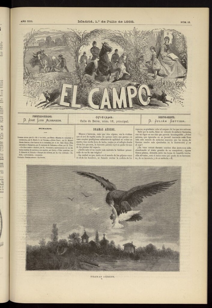 Miniatura de El Campo : agricultura, jardinería y sport del 1 de julio de 1888, nº 13