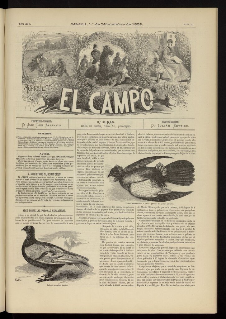Miniatura de El Campo : agricultura, jardinería y sport del 1 de noviembre de 1889, nº 21