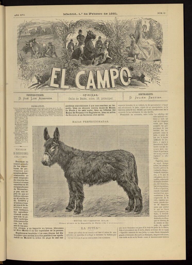 Miniatura de El Campo : agricultura, jardinería y sport del 1 de febrero de 1891, nº 3