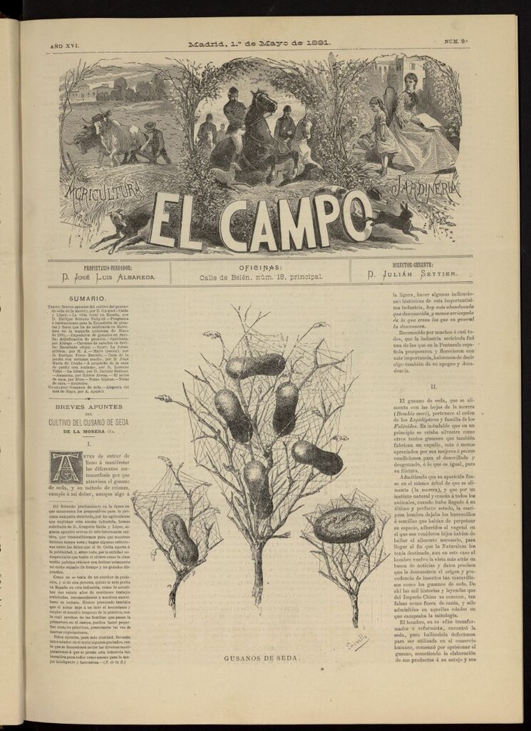 Miniatura de El Campo : agricultura, jardinería y sport del 1 de mayo de 1891, nº 9