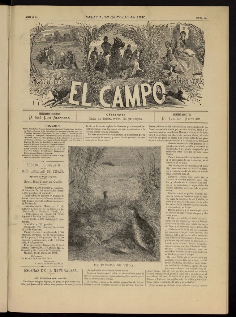 Miniatura de El Campo : agricultura, jardinería y sport del 16 de junio de 1891, nº 12