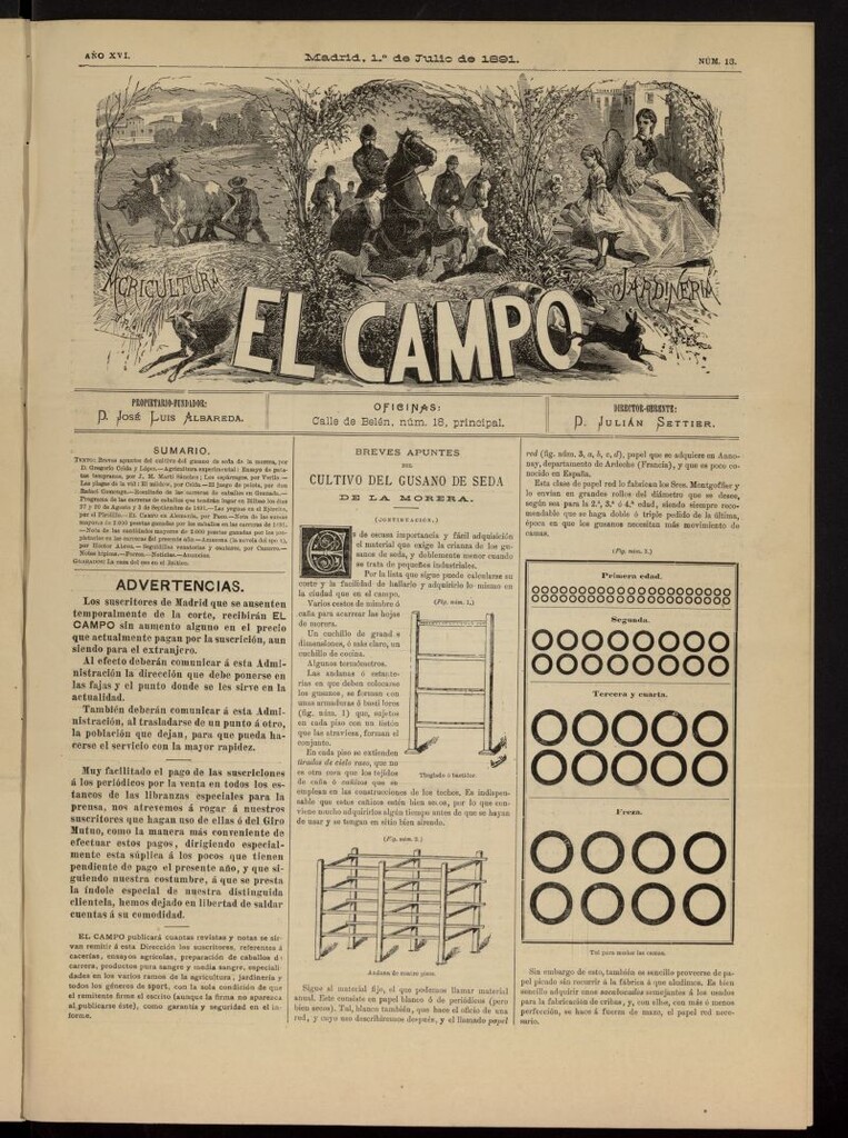 Miniatura de El Campo : agricultura, jardinería y sport del 1 de julio de 1891, nº 13