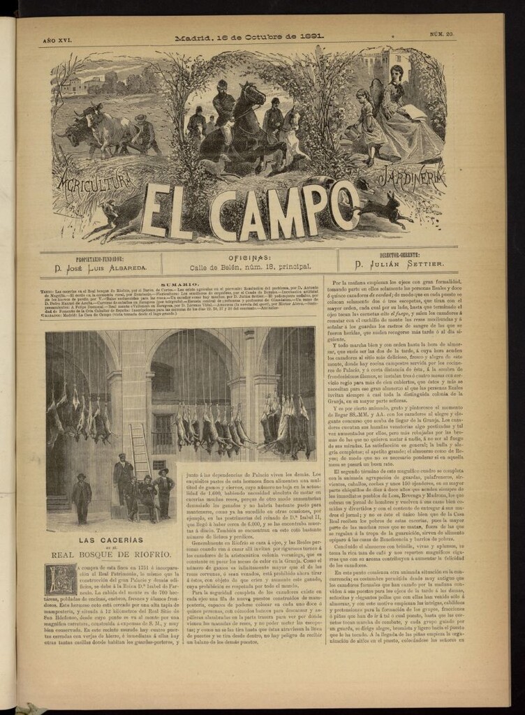 Miniatura de El Campo : agricultura, jardinería y sport del 16 de octubre de 1891, nº 20