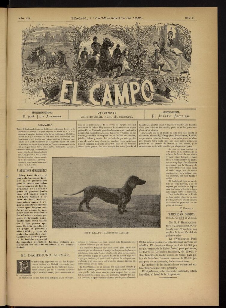 Miniatura de El Campo : agricultura, jardinería y sport del 1 de noviembre de 1891, nº 21