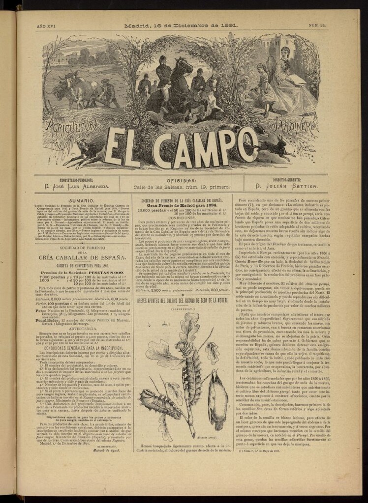 Miniatura de El Campo : agricultura, jardinería y sport del 16 de diciembre de 1891, nº 24