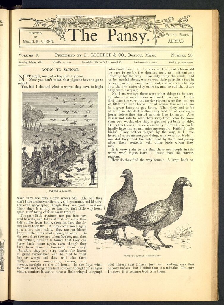 Miniatura de The Pansy del 15 de julio de 1882, nº 28