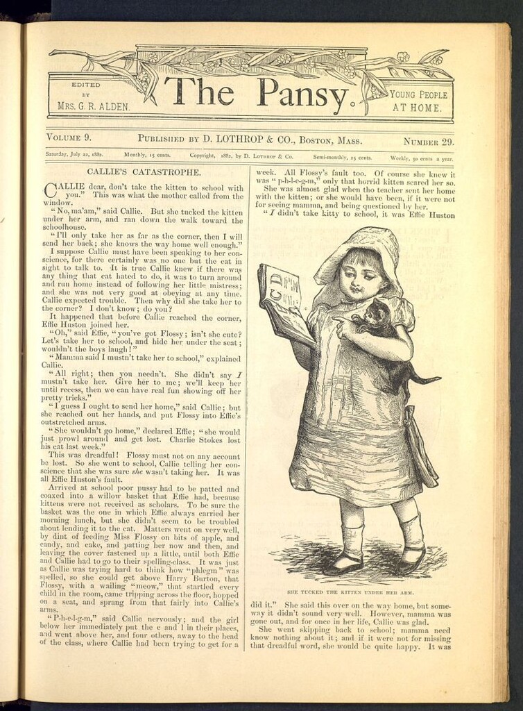 Miniatura de The Pansy del 22 de julio de 1882, nº 29