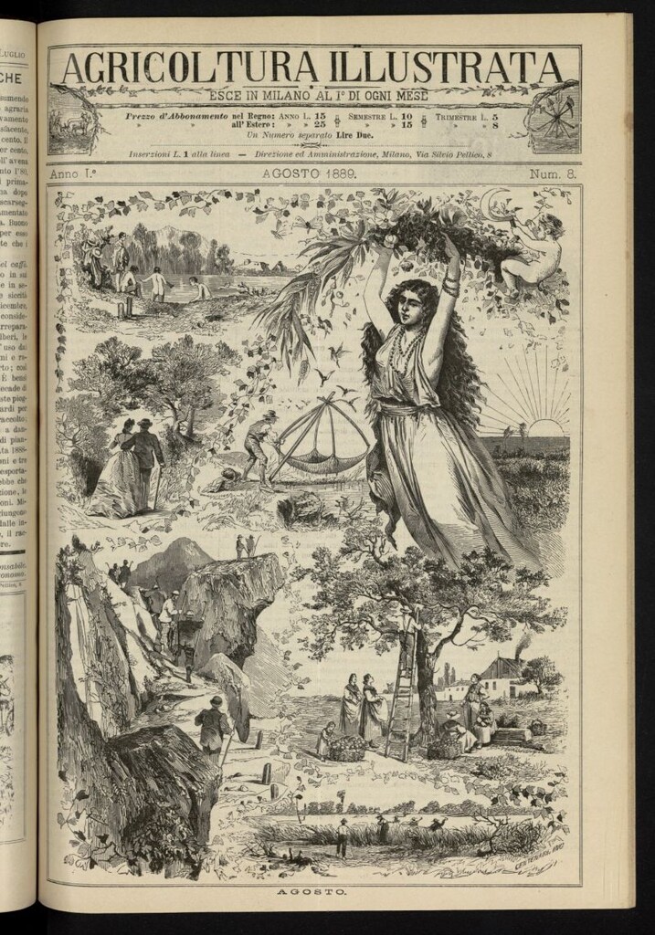 Miniatura de L´Agricoltura Illustrata de agosto de 1889, nº 8
