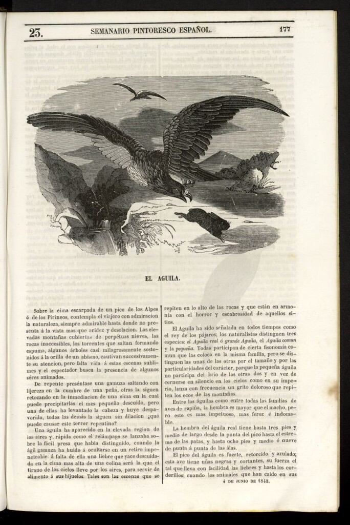 Miniatura de Semanario Pintoresco Español del 4 de junio de 1848, nº 23