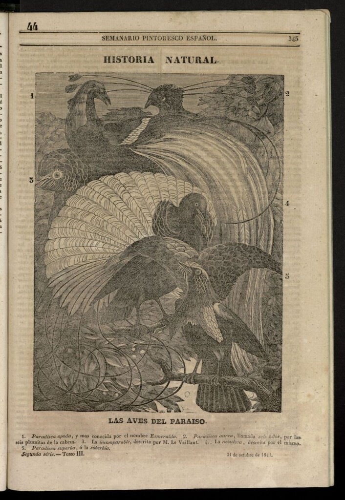 Miniatura de Semanario Pintoresco Español del 31 de octubre de 1841, nº 44