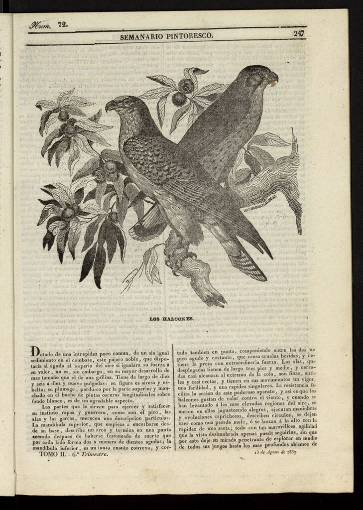 Miniatura de Semanario Pintoresco Español del 13 de agosto de 1837, nº 72