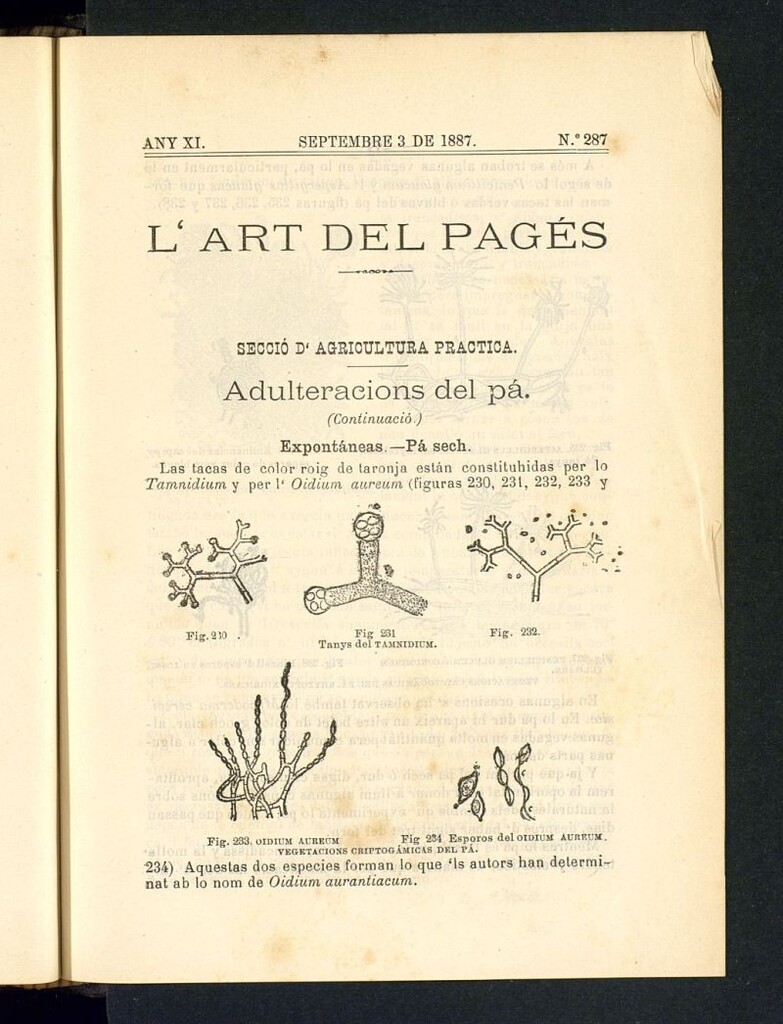 Miniatura de L´Art del Pagés del 3 de septembre de 1887