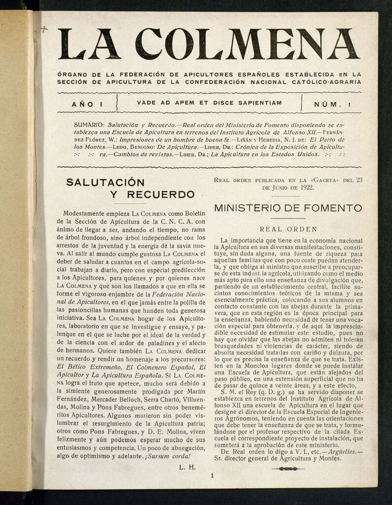Miniatura de La Colmena : órgano de la Federación de Apicultores españoles establecida en la sección de apicultura de la Confederación Nacional Católico-Agraria