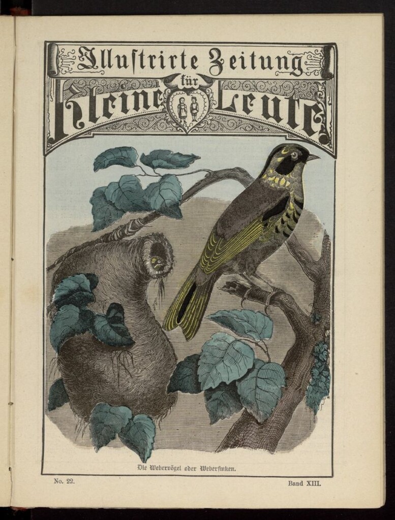 Miniatura de Illustrirte Zeitung für Kleine Leute de 1881, nº 22