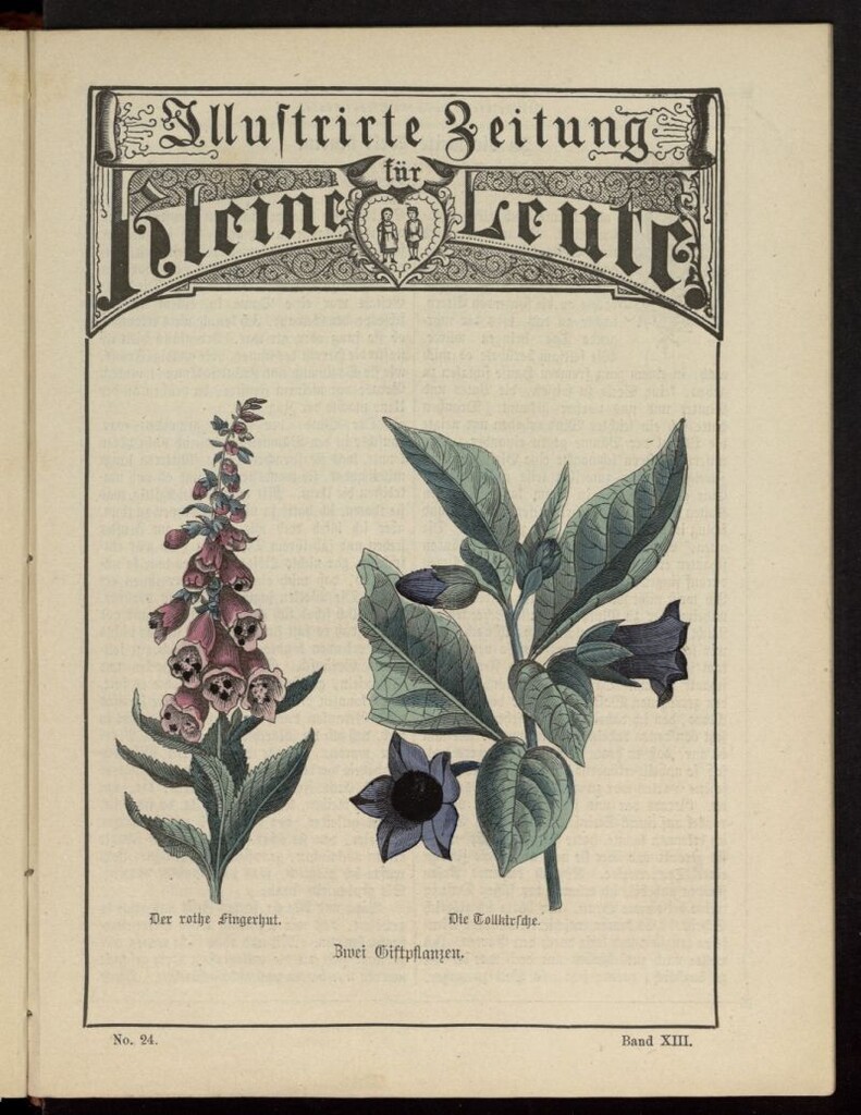 Miniatura de Illustrirte Zeitung für Kleine Leute de 1881, nº 24